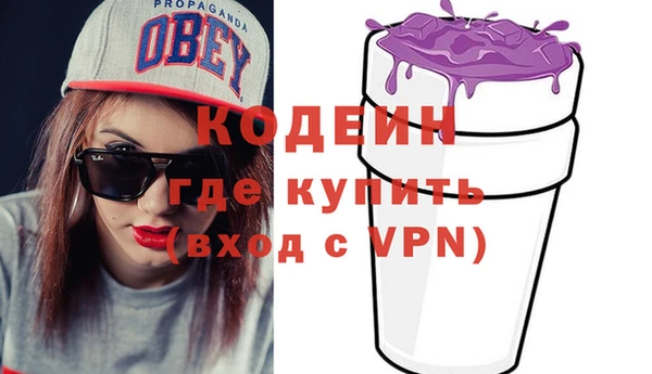 крисы Елабуга