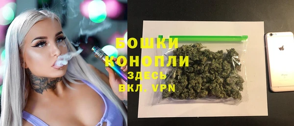 не бодяженный Ельня