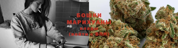 сатива Елизово