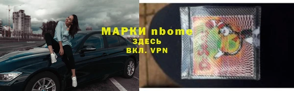 крисы Елабуга