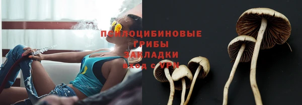 крисы Елабуга