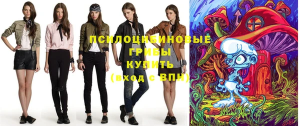 крисы Елабуга