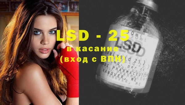 сатива Елизово