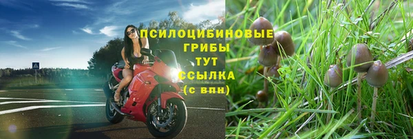 не бодяженный Ельня
