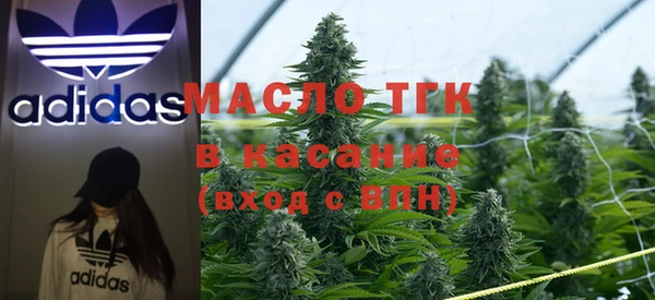 сатива Елизово