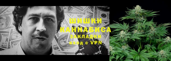 не бодяженный Ельня