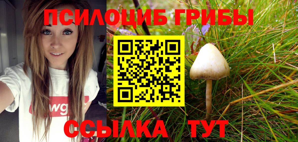 Галлюциногенные грибы GOLDEN TEACHER Сибай