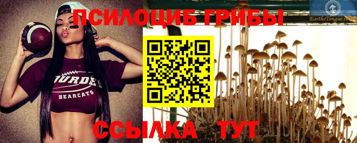 Псилоцибиновые грибы Magic Shrooms  Сибай 