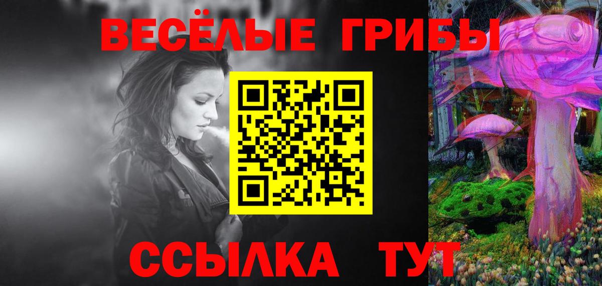 Галлюциногенные грибы Cubensis Сибай