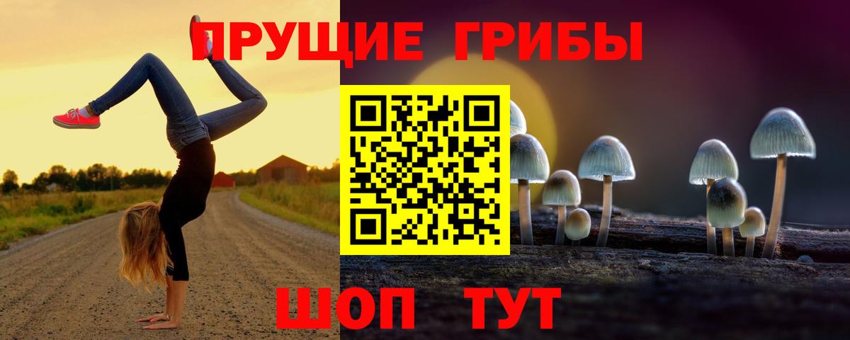 Галлюциногенные грибы прущие грибы  Вход с VPN  Сибай 
