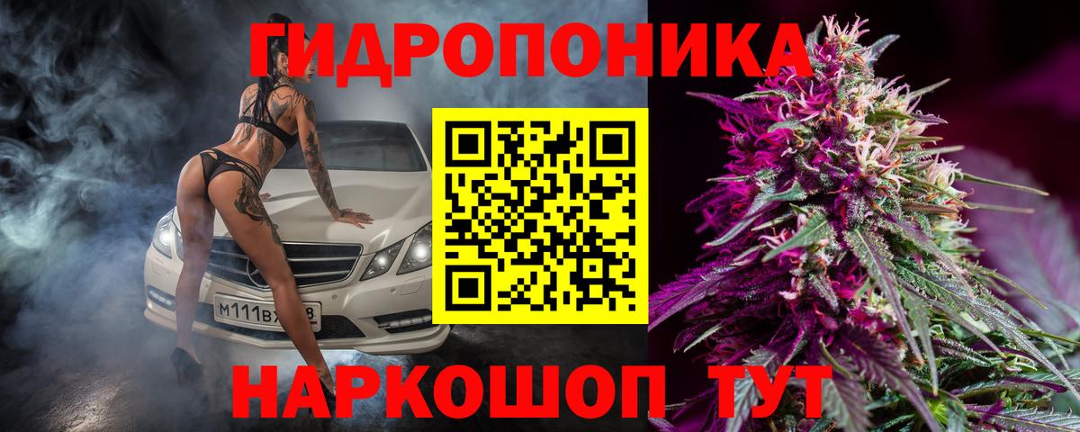 Шишки марихуана ГИДРОПОН Сибай